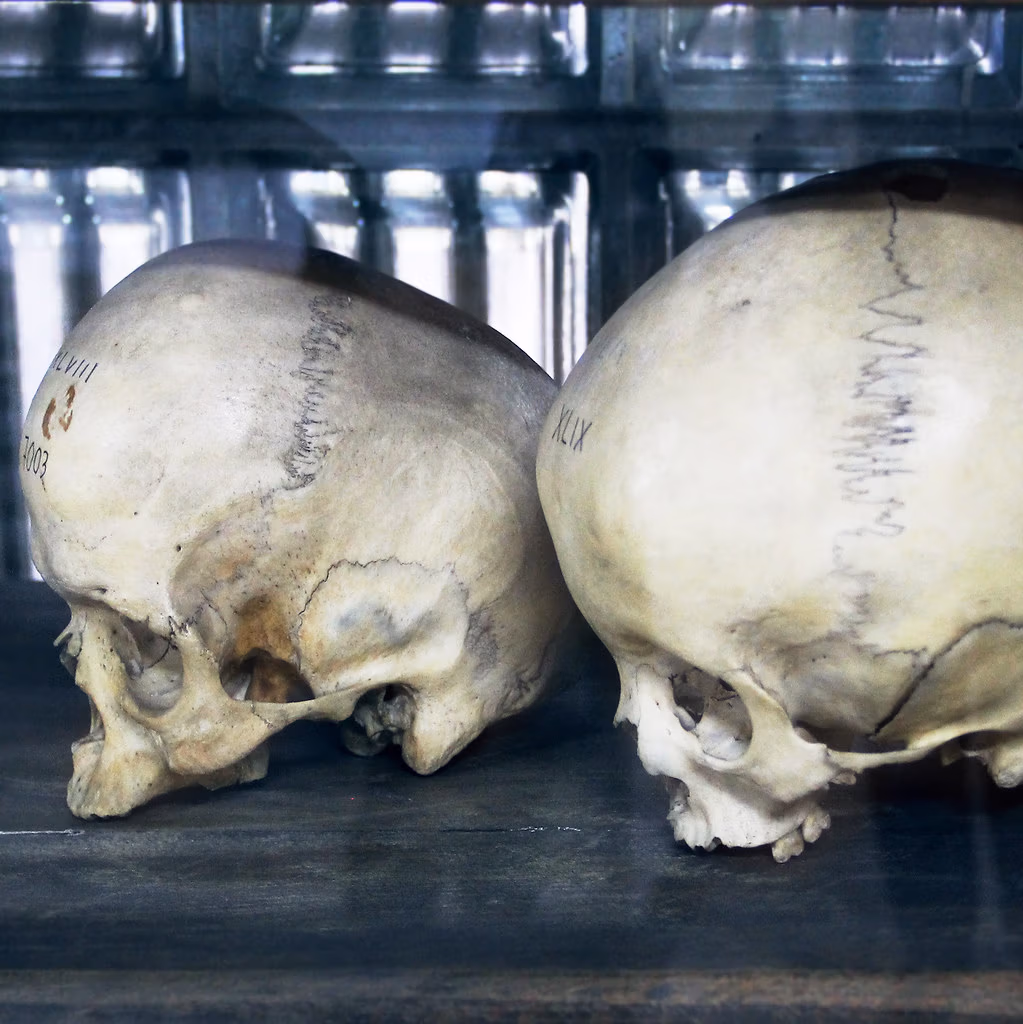 Andrew Taylor Still over het ontstaan van de osteopathie: verlies, twijfel en een idee dat deels te ver ging