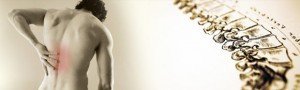 Foto rugpijn, van de Osteopraktijk in Amsterdam, behandeling van bewegingsbeperkingen van botten, spieren, bloedvaten, ingewanden.